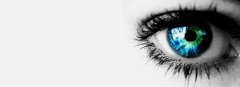 Kwaliteiten, talenten, competenties en vaardigheden